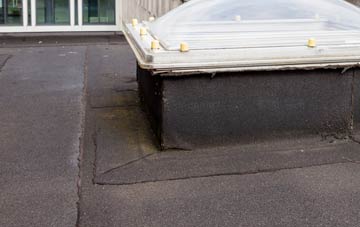 disadvantages of Marine Town flat roofs