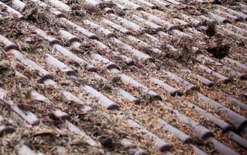 Marine Town roof cleaning companies